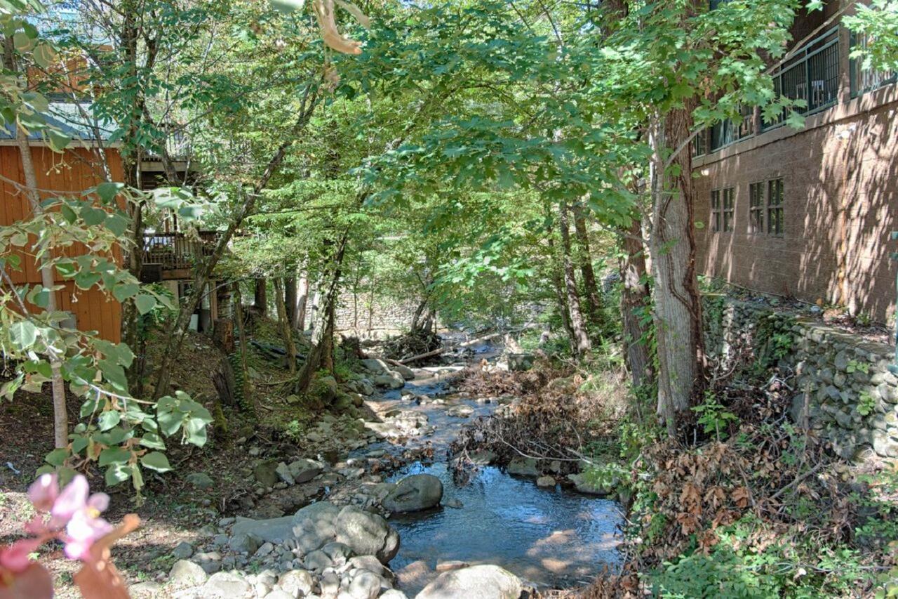 Old Creek Lodge Гетлинбург Екстериор снимка